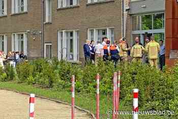Verbranden van onkruid gaat mis: 300 leerlingen geëvacueerd