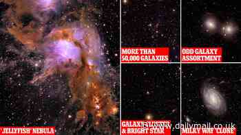 See the Universe like NEVER before: UK scientists use the Euclid spacecraft to take the largest images of the cosmos ever taken from space - revealing a 'jellyfish' nebula and a clone of the Milky Way