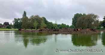 How Peter Pan Park could soon be home to dragonflies, newts and nesting birds