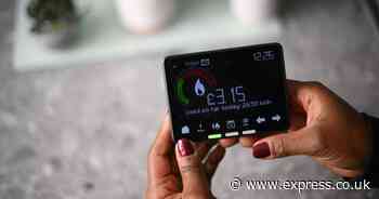Smart meter warning issued over faulty devices failing to cut energy bills