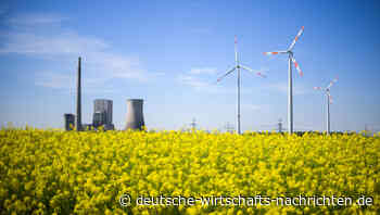 IW-Regionalranking 2024: Landkreise sind Vorreiter der Energiewende