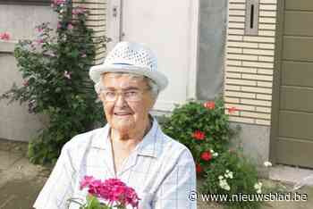 Groot Licht vzw moedigt gratis geveltuintjes aan met ‘Geveltuinen Tour de Force’