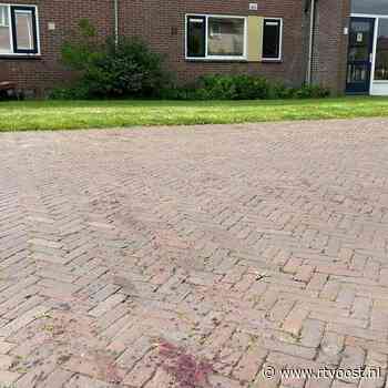 Arrestatieteam in Dalfsen schoot noodgedwongen eigen diensthond neer