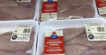 Maple Leaf Foods to close aging Brantford poultry plant, consolidate production