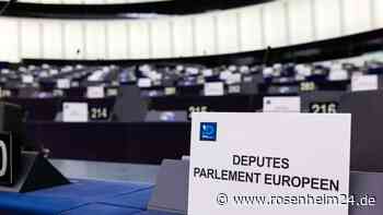 Rauswurf der AfD aus EU-Fraktion beschlossen