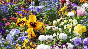 Dreister Vorfall in Ruhpolding: Polizei sucht Blumen-Diebe