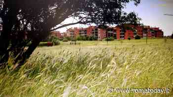 Nuova Tor Vergata in Festa 2024