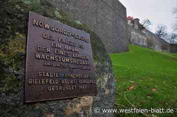 Partnerschaften im Zeichen von Krieg und Krisen