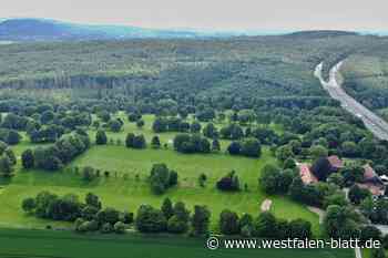 Golfplatz soll Solarpark werden - Mitglieder bangen um sportliche Heimat