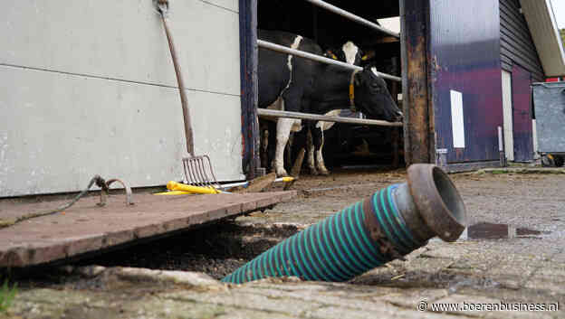 Met gevulde mestkelders en -silo's de zomer tegemoet