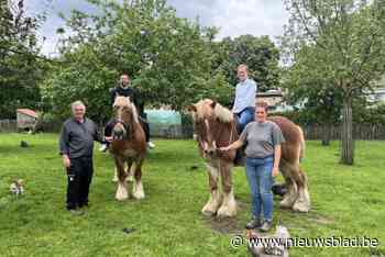 Sammy Mahdi en Peter Van Rompuy rijden campagne in op Brabants trekpaard: “Deze provincie verdient veel meer aandacht”
