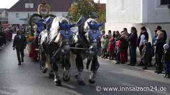 „Das ist eine einmalig günstige Konstellation: Wenn nicht jetzt, dann nie!“