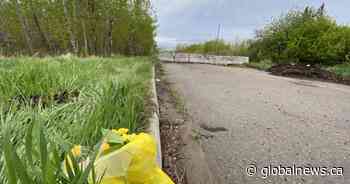 St. Albert junior high school student identified as victim in homicide investigation