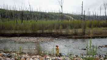 Cool, wet weather helping damp down Alberta wildfires