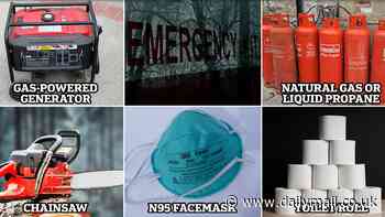 Prepping for the end of the world? Here's what scientists say you REALLY need - as ministers urge Britons to start national crisis 'emergency kits'
