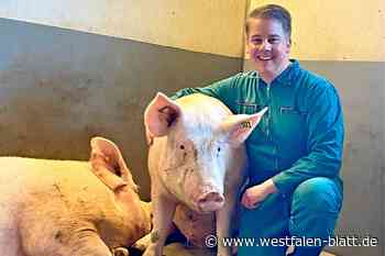 Europawahl: Nieheimer Stephan von Kölln beim ARD-Wahlforum