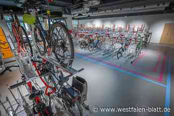 Mehr als eine teure Zukunftsvision?