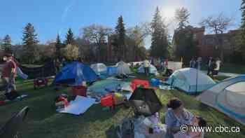 Staff, students want independent investigation into police removal of U of A protesters