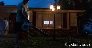Quiet after 6: Ontario city considers curfew for gas-powered lawn tools