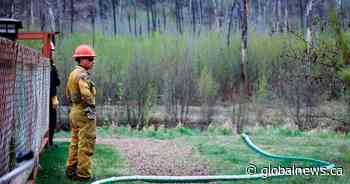 Cool, wet weather leads to ‘significant decline’ in Alberta wildfire risk