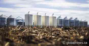 Saskatchewan farmers over half done seeding throughout the province