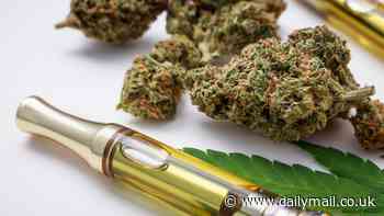 More than a dozen weed products are recalled due to toxic mold linked to lung infections - including a Mike Tyson-promoted brand