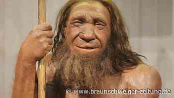 Studie: Genetisch sind wir Neandertalern näher als gedacht