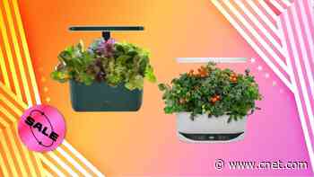 Keep It Fresh With the AeroGarden Memorial Day Sale: Save Up to 15%     - CNET