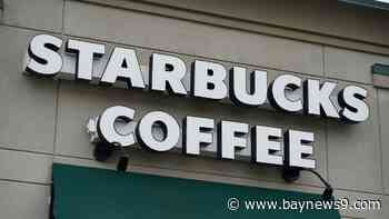 Florida Attorney General Ashley Moody calls for investigation into Starbucks' diversity policies