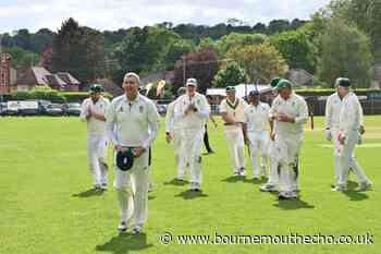 Sean Wallbridge stars for Dorset Over-50s against Hampshire
