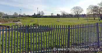 Mum's horror as 13-year-old son 'could have been killed' when he was 'punched unconscious' in Hull park