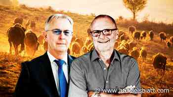 VR-Bank Bad Salzungen Schmalkalden: Wie die Effenberg-Bank Millionen in KI und Kühe steckte