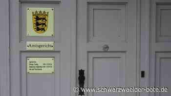 Amtsgericht Nagold: Dem Handschlag folgt ein mildes Urteil