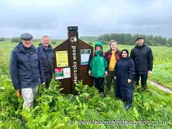 Horrocks Wood volunteers root out Himalayan Balsam