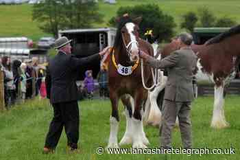 Show set to keep rural traditions alive and well