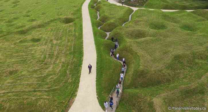 Remains of unknown Newfoundland soldier who fought in France coming home this weekend