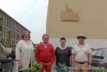Gemeente en psychologen organiseren voor het eerst gratis infosessie om stressvolle examenperiode door te komen: “Heel het gezin lijdt eronder”