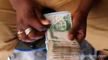 Devisen: Die Kapitalflucht verhindern: Wie Staaten versuchen, unabhängiger vom US-Dollar zu werden