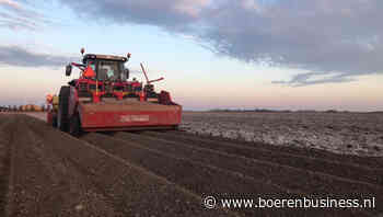 Gemiddelde pootdatum gaat seizoen 2023 voorbij