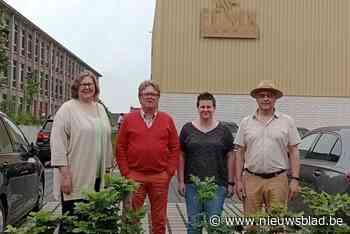 Gratis infosessie geeft handige tips om stressvolle examenperiode te overleven… voor ouders