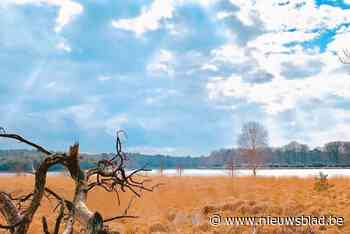 Cursus leidt je op tot Gastheer/Gastvrouw van Grenspark Kalmthoutse Heide