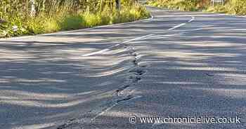 Northumberland road closed for several hours after car crashes into telegraph pole near Cragside