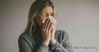 Top household items which trigger sneezing fits for Brits named as allergy season takes hold