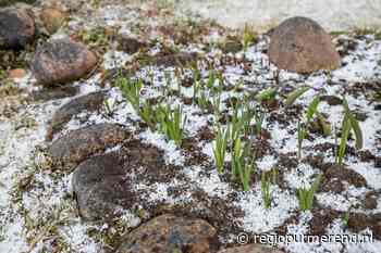 Code geel: zware onweersbuien en kans op hagel