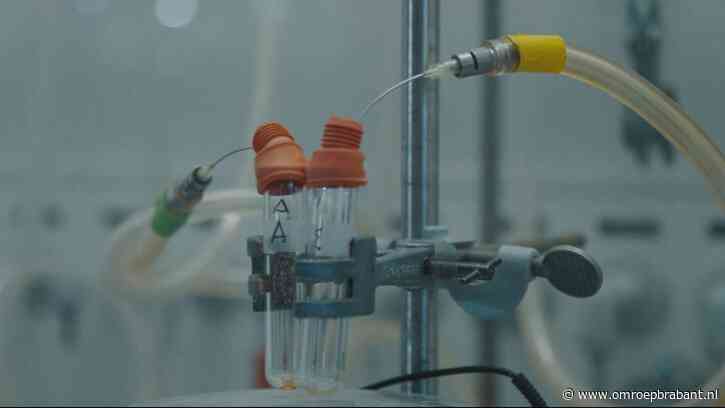 Dit kankermedicijn werd uitgevonden in Oss, maar was er bijna niet geweest