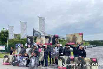 Animal Rights legt bloemen neer aan slachthuis voor “afschuwelijk leed van dieren”