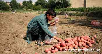Das EU-Lieferkettengesetz kommt: Was das bedeutet