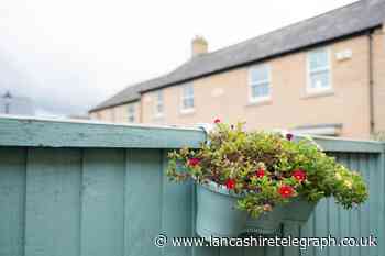 Can I remove things my neighbour has attached to my fence?