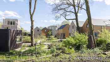 Tiny Houses in de sociale huur als toekomstbestendig ontwikkelmodel