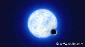 Are stars vanishing into their own black holes? A bizarre binary system says 'yes'